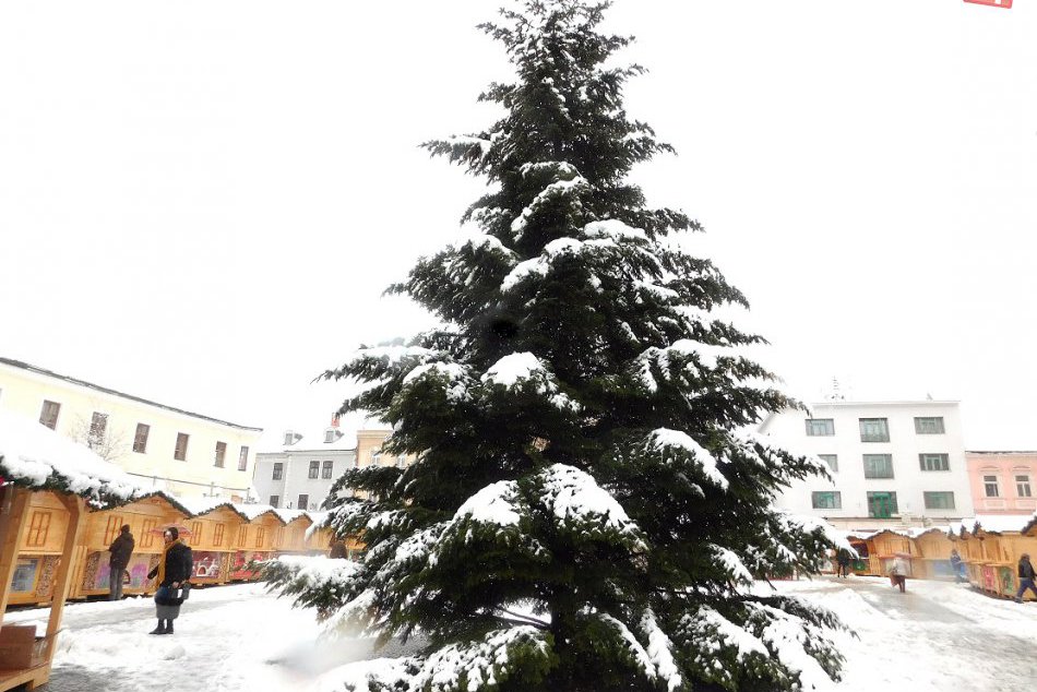 Ilustračný obrázok k článku Práce na vianočnej výzdobe finišujú: Vianočný stromček bude zdobiť 7500 svetielok