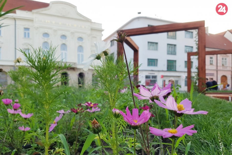Ilustračný obrázok k článku Záhradkári zbystrite: Mesto hľadá najkrajšie balkóny, predzáhradky a vertikálnu zeleň