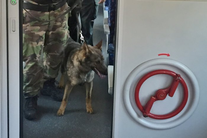 Ilustračný obrázok k článku Policajti sa vybrali do vlakov: V akcii aj služobné psy Diora a Brenda, VIDEO