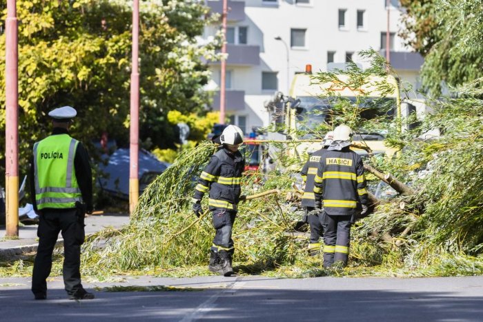 Ilustračný obrázok k článku Vietor lámal stromy a ničil strechy: Najviac práce mali hasiči v Trnavskom kraji