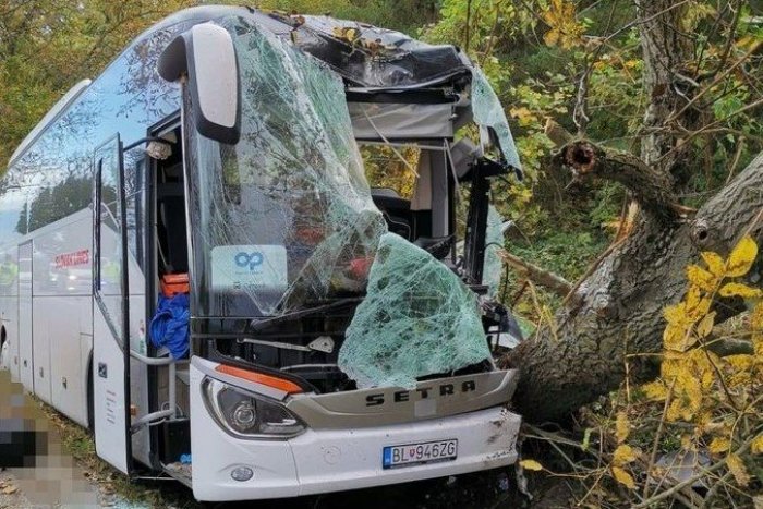 Ilustračný obrázok k článku TAKÝ náraz do stromu nemal šancu prežiť: Šofér autobusu bol na mieste mŕtvy