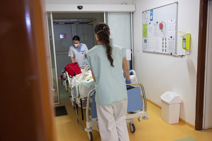 Ilustračný obrázok k článku Situácia je alarmujúca: V Trnavskom kraji je NAJMENEJ zdravotných sestier na obyvateľa