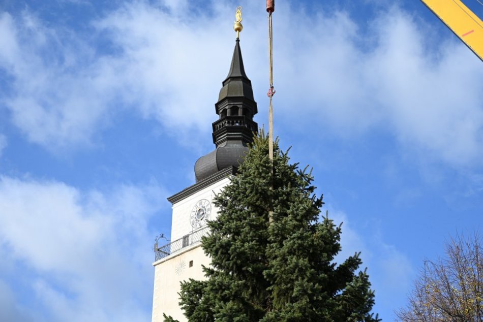 Vianočný stromček na Trojičnom námestí v Trnave